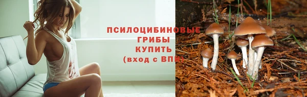 прущая мука Верея