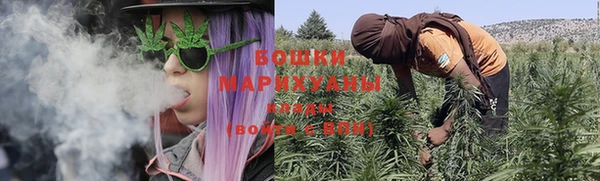 стаф Бронницы