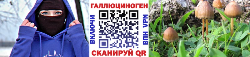 площадка официальный сайт  Северобайкальск  Галлюциногенные грибы Psilocybe 