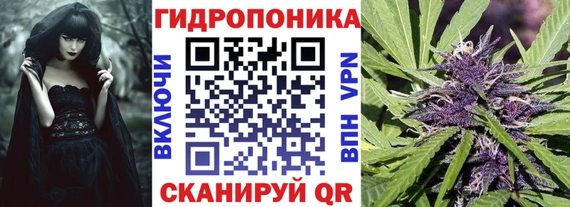 Бошки марихуана гибрид  shop наркотические препараты  Северобайкальск 